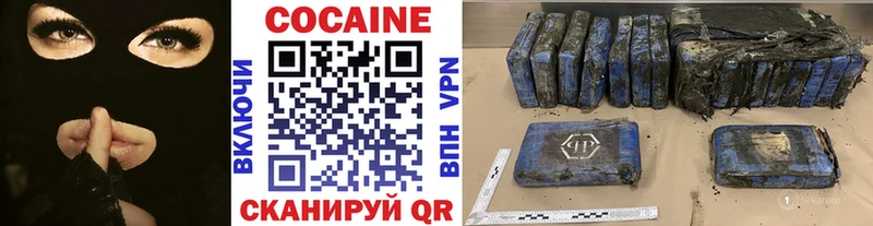 Купить закладки  Елизово  Кокаин 97% 