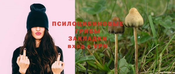 прущий лед Дмитров
